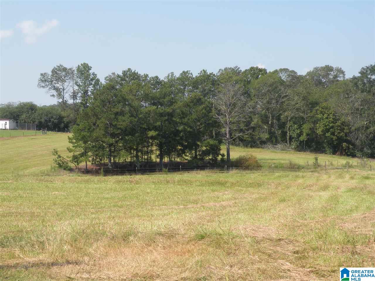413 Truss Ferry Road Lincoln, AL 35096 - Photo 35 of 36