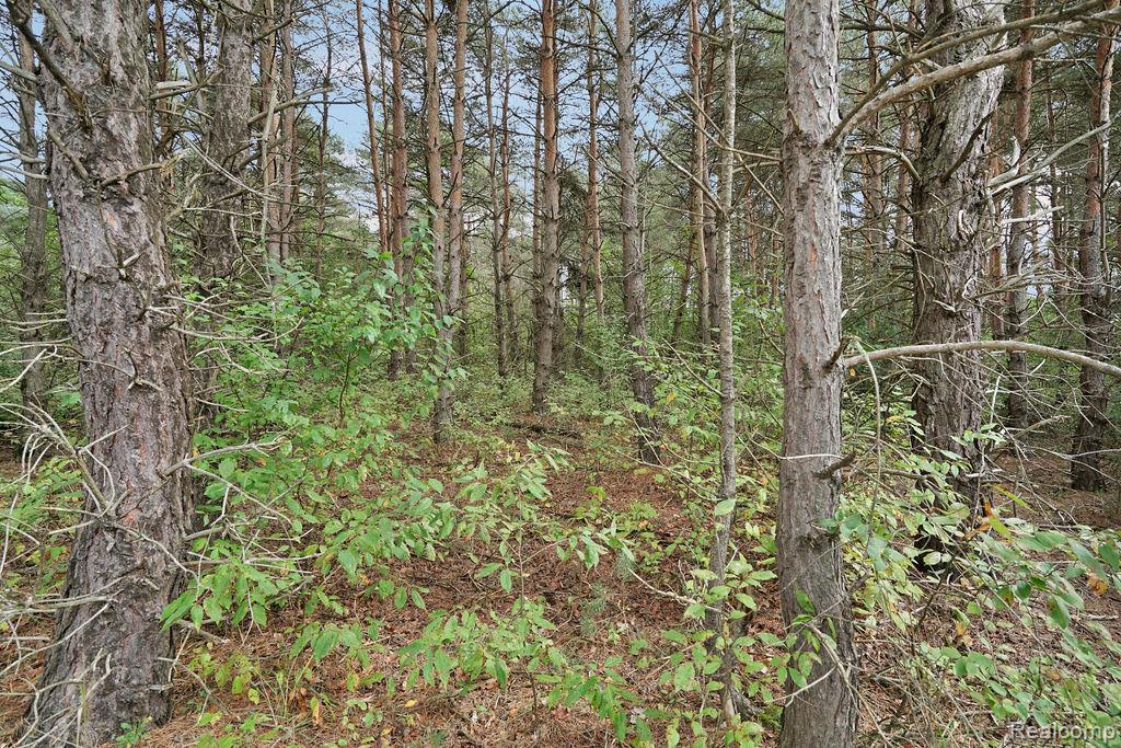 3921 Kile Road Vassar, MI 48768 - Photo 15 of 21 Gallery Image 15