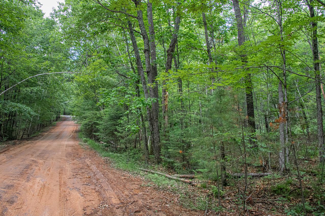Off East Bass Lake Road Eagle River, WI 54521 - Photo 16 of 16 Gallery Image 16