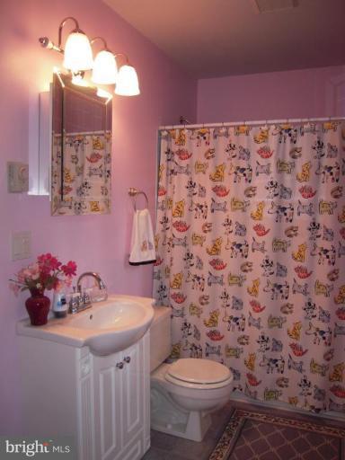 313 Londontown Road Edgewater, MD 21037 - Photo 24 of 25 a bathroom with a sink a toilet and mirror