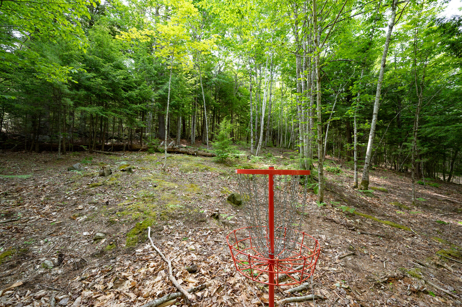 237-001 Hopper Road Acton, ME 04001 - Photo 10 of 19 DSC_2375