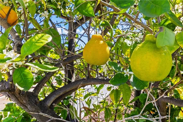 $839,990 | 1547 Folkestone Street, Spring Valley, CA 91977