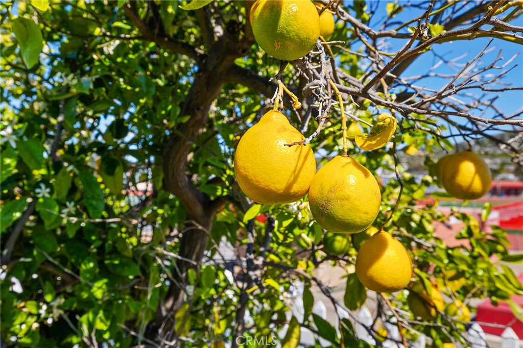 1547 Folkestone Street Spring Valley, CA 91977 - Photo 31 of 43