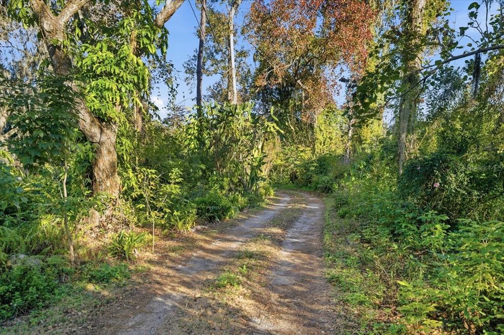 16921 Crawley Road Odessa, FL 33556 - Photo 6 of 53