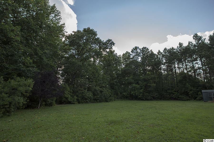 1074 Sarvis Farm Road Longs, SC 29568 - Photo 25 of 25 Gallery Image 25