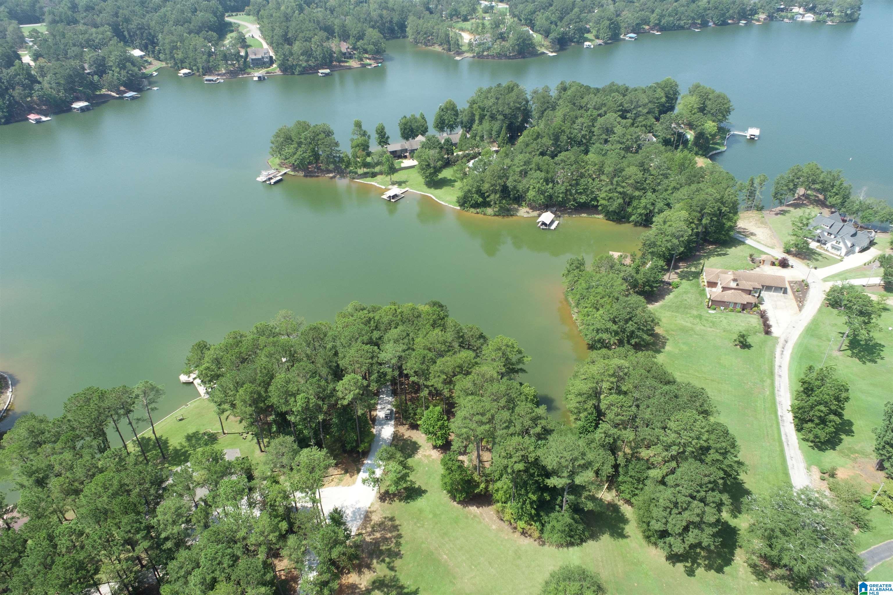 0 Wylie Road Wedowee, AL 36278 - Photo 6 of 10