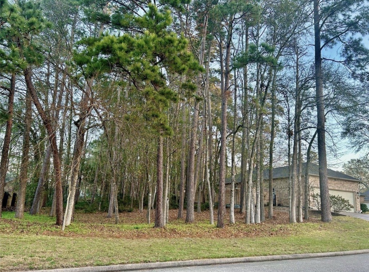 901 Longmire Road, Unit 51 Conroe, TX 77304 - Photo 47 of 48