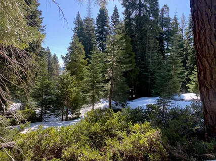 $250,000 | 890 Bunker Drive, Tahoe City, CA 96145