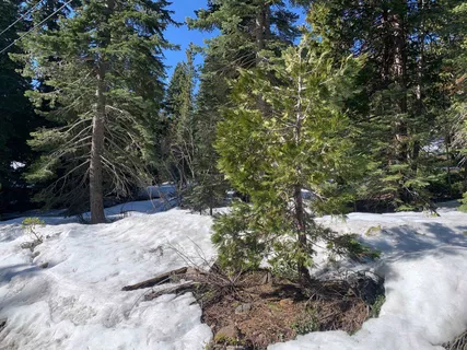 $250,000 | 890 Bunker Drive, Tahoe City, CA 96145