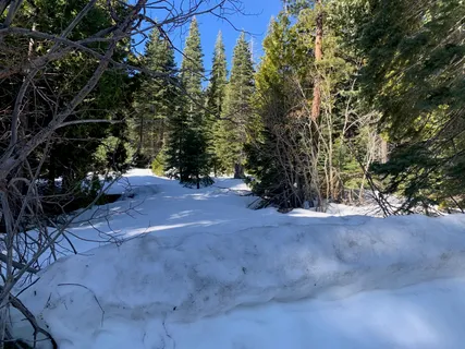 $250,000 | 890 Bunker Drive, Tahoe City, CA 96145