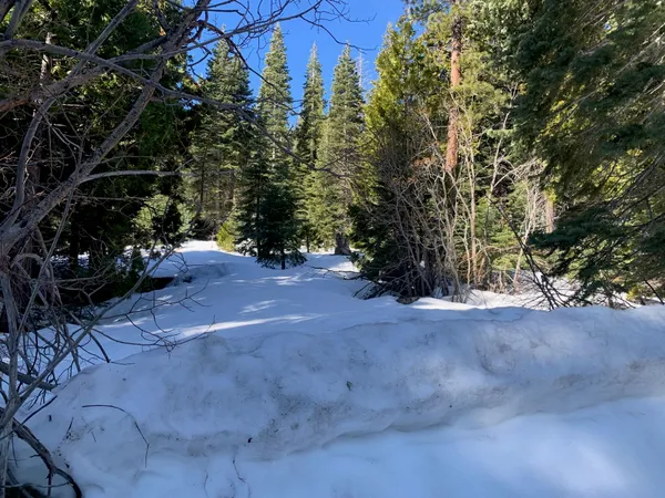 $250,000 | 890 Bunker Drive, Tahoe City, CA 96145
