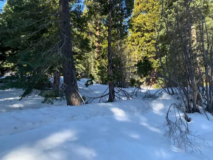 $250,000 | 890 Bunker Drive, Tahoe City, CA 96145