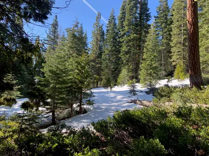 $250,000 | 890 Bunker Drive, Tahoe City, CA 96145