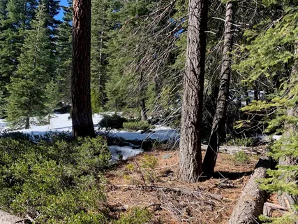 $250,000 | 890 Bunker Drive, Tahoe City, CA 96145