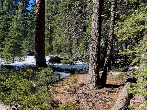 $250,000 | 890 Bunker Drive, Tahoe City, CA 96145