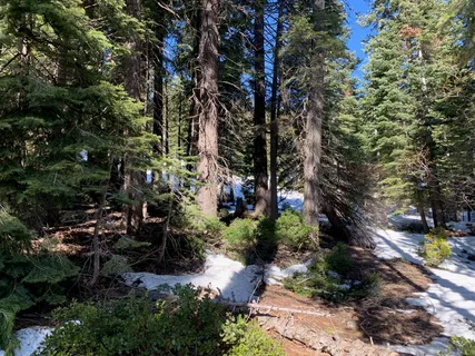 $250,000 | 890 Bunker Drive, Tahoe City, CA 96145