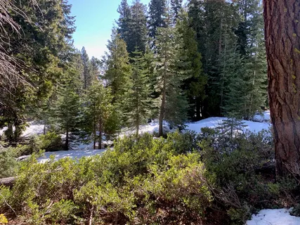 $250,000 | 890 Bunker Drive, Tahoe City, CA 96145