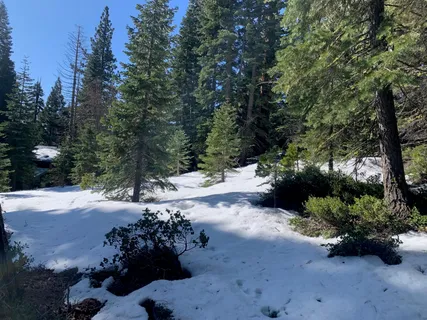 $250,000 | 890 Bunker Drive, Tahoe City, CA 96145