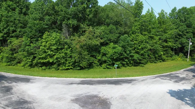 a view of a yard with a trees
