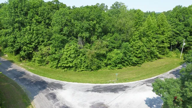 a view of a garden with a swimming pool