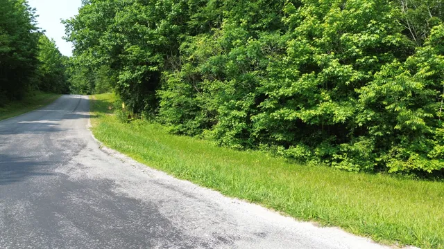 a view of a garden with plants