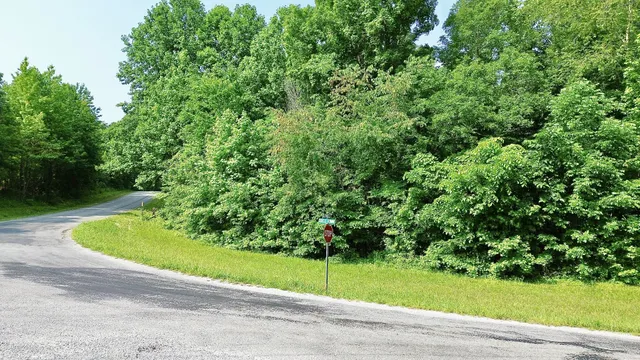 a view of a garden with a small yard