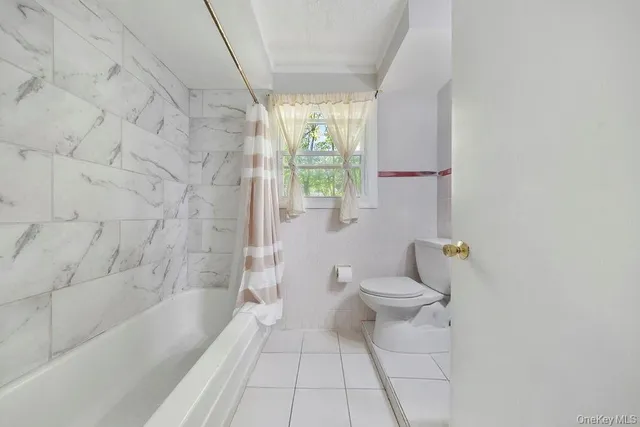 a bathroom with a toilet and a bathtub