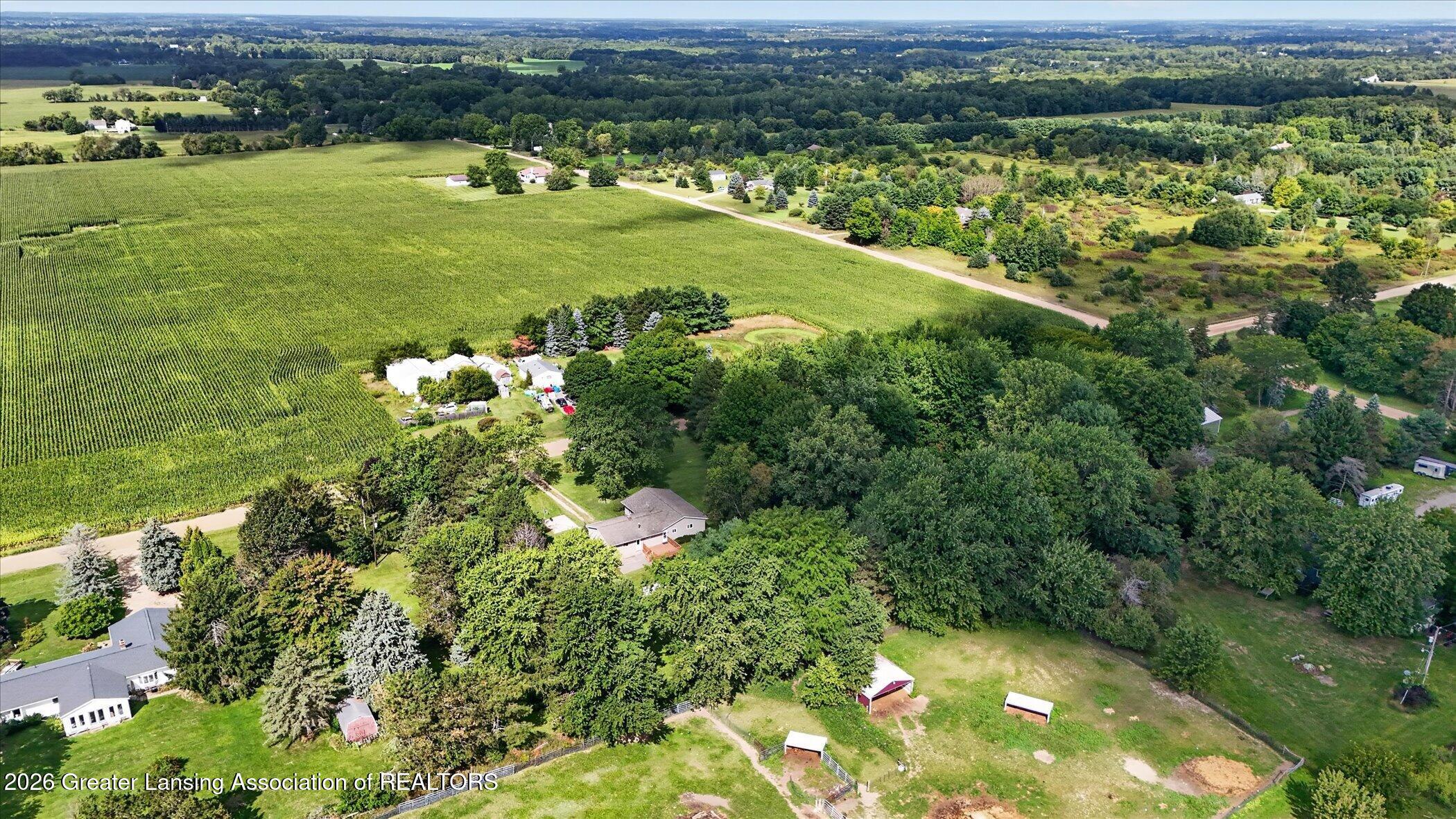 11131 South Lowell Road Dewitt, MI 48820 - Photo 53 of 60 Aerial View