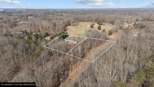 a view of a dry yard