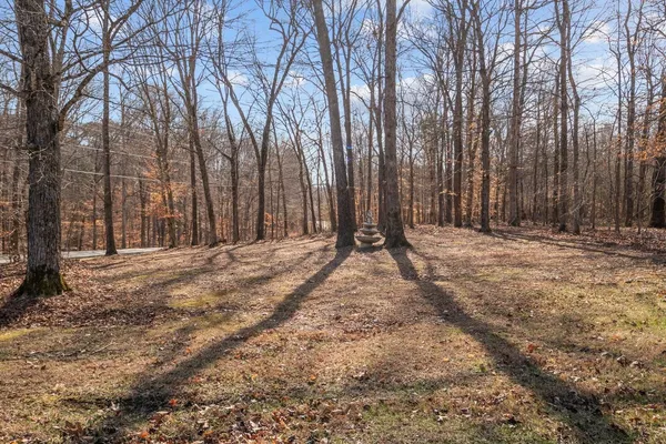a view of outdoor space with trees