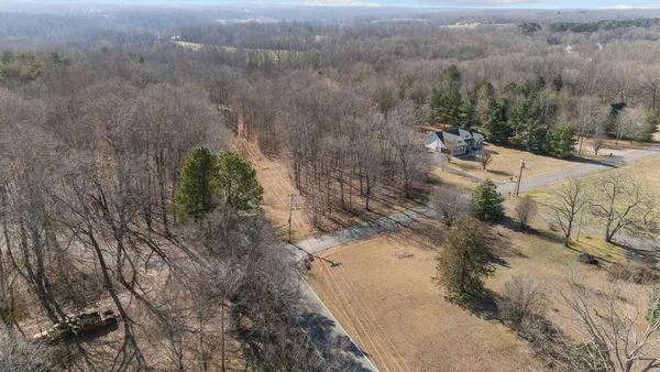 a view of a yard with trees