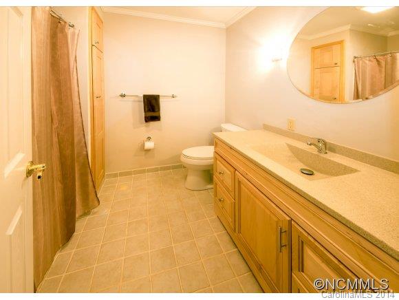 491 Bert Lane Road Brevard, NC 28712 - Photo 15 of 24 Gallery Image 15