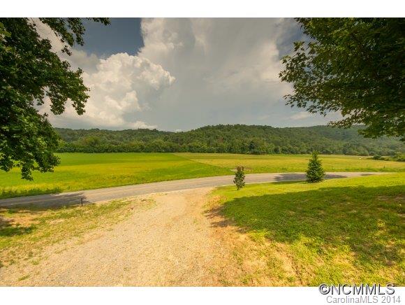 491 Bert Lane Road Brevard, NC 28712 - Photo 23 of 24 Gallery Image 23