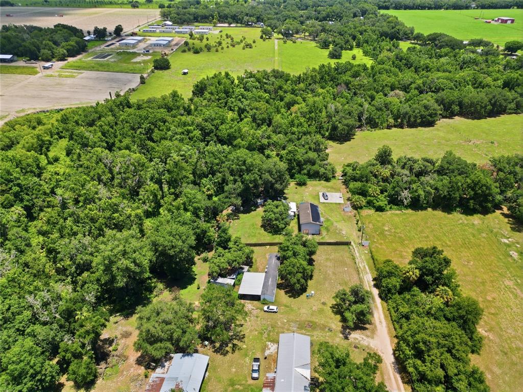 3126 Toole Road Lithia, FL 33547 - Photo 53 of 66
