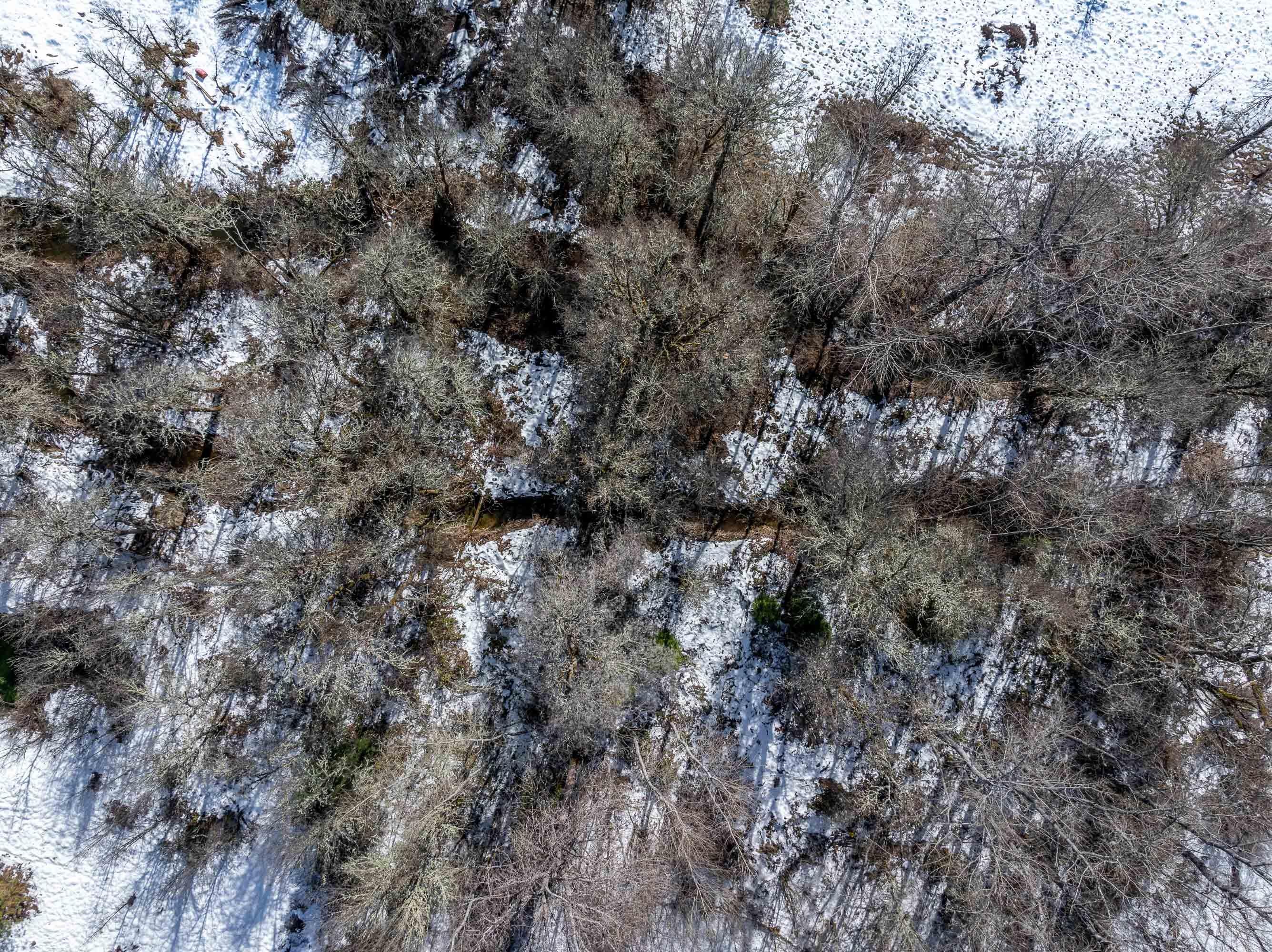 629 Dick George Road Cave Junction, OR 97523 - Photo 27 of 27 DRONE (6 of 6)