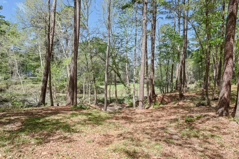a view of outdoor space with trees
