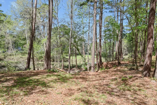 a view of outdoor space with trees