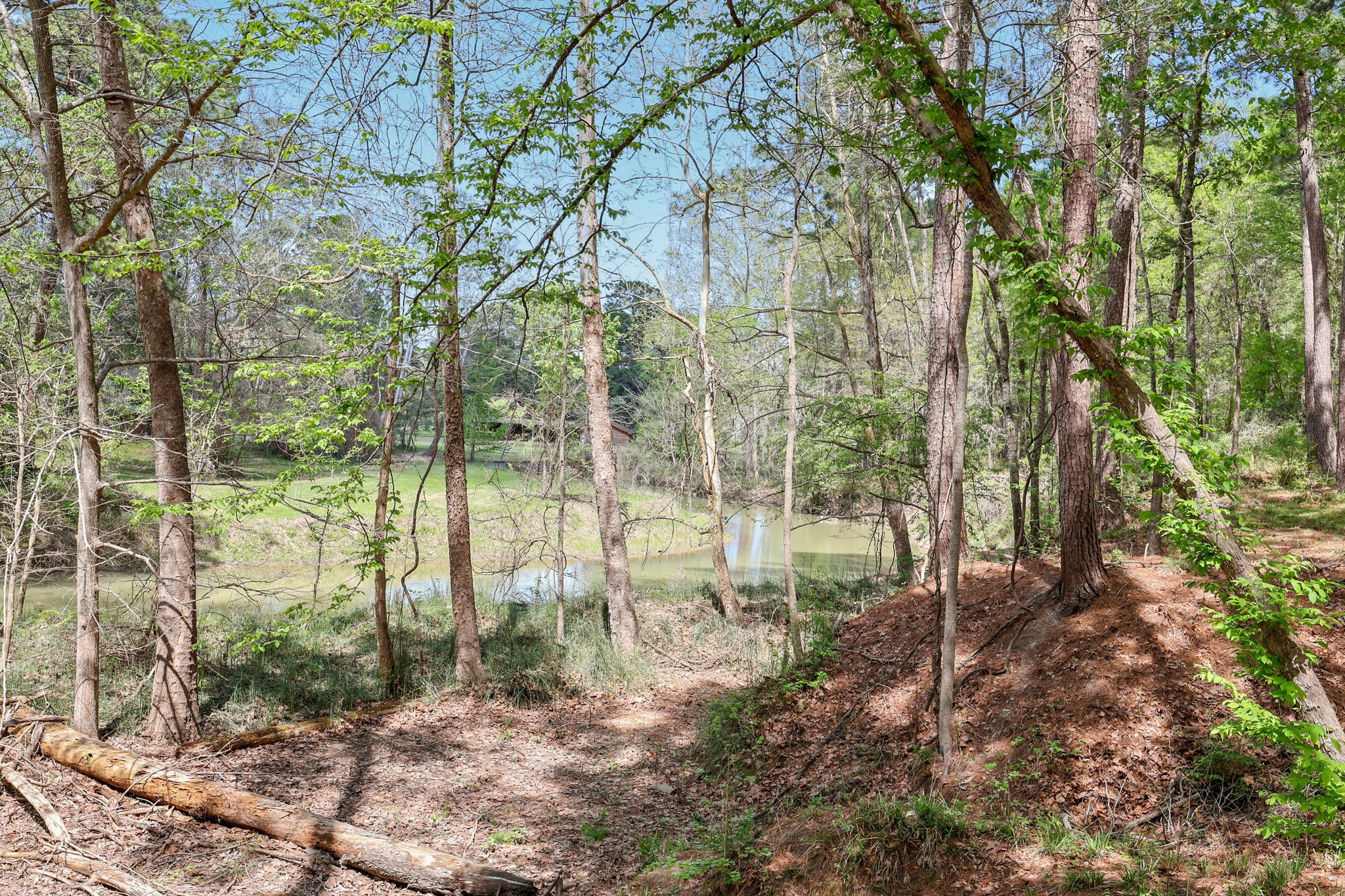 0 Harrell Cemetery Road Coldspring, TX 77331 - Photo 4 of 10 a view of outdoor space and garden