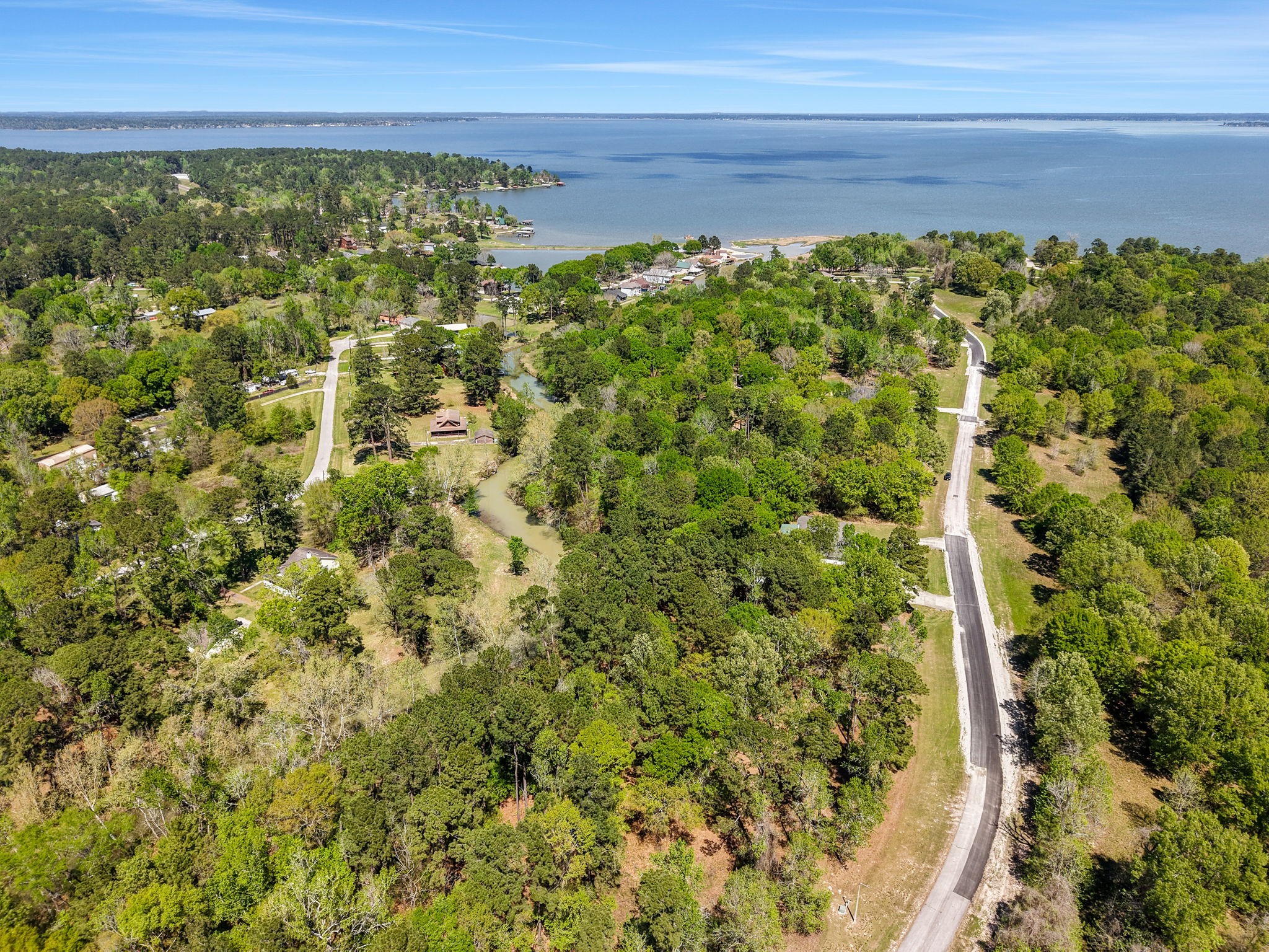0 Harrell Cemetery Road Coldspring, TX 77331 - Photo 5 of 10