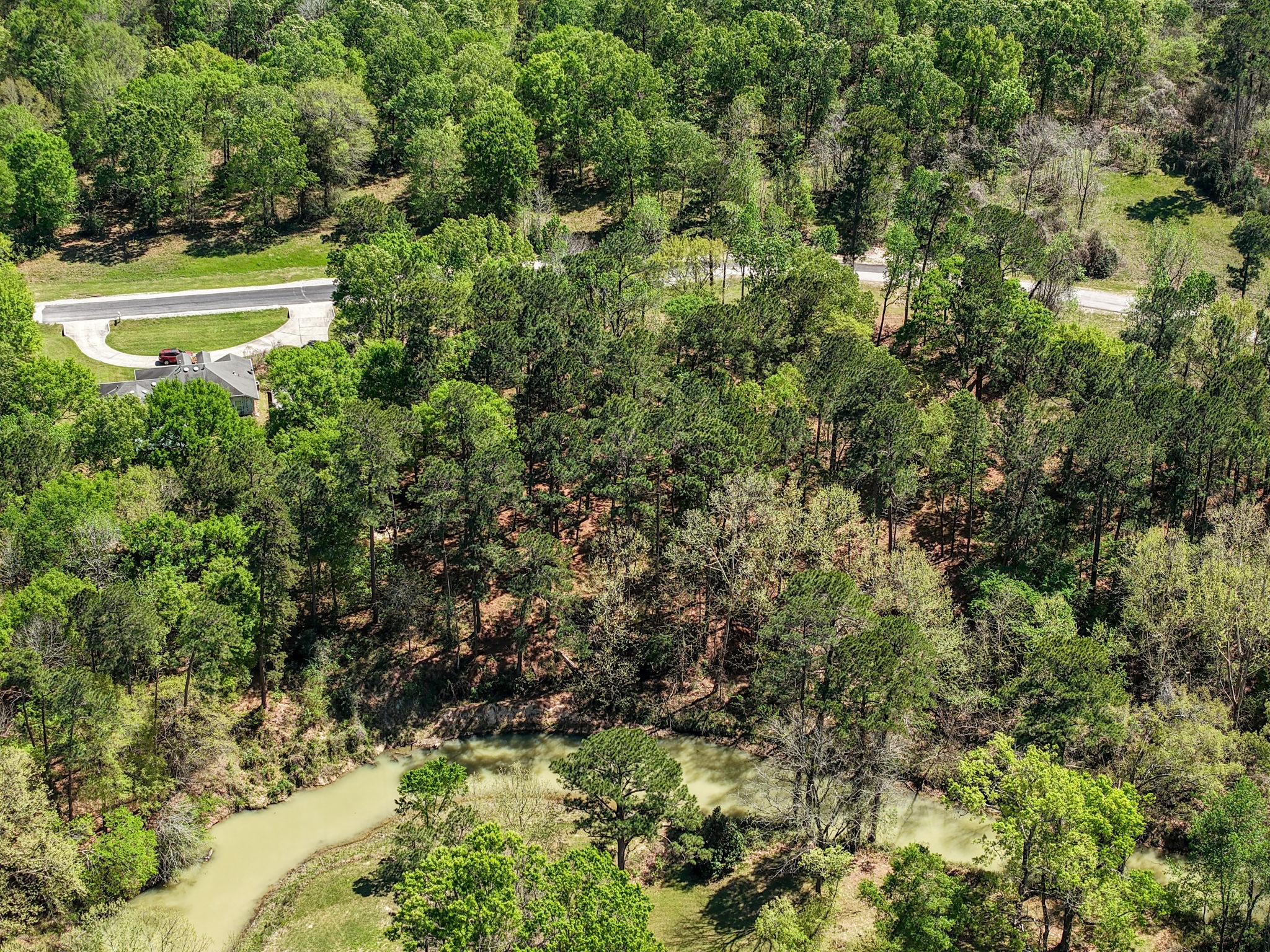 0 Harrell Cemetery Road Coldspring, TX 77331 - Photo 7 of 10 a view of a yard with a tree