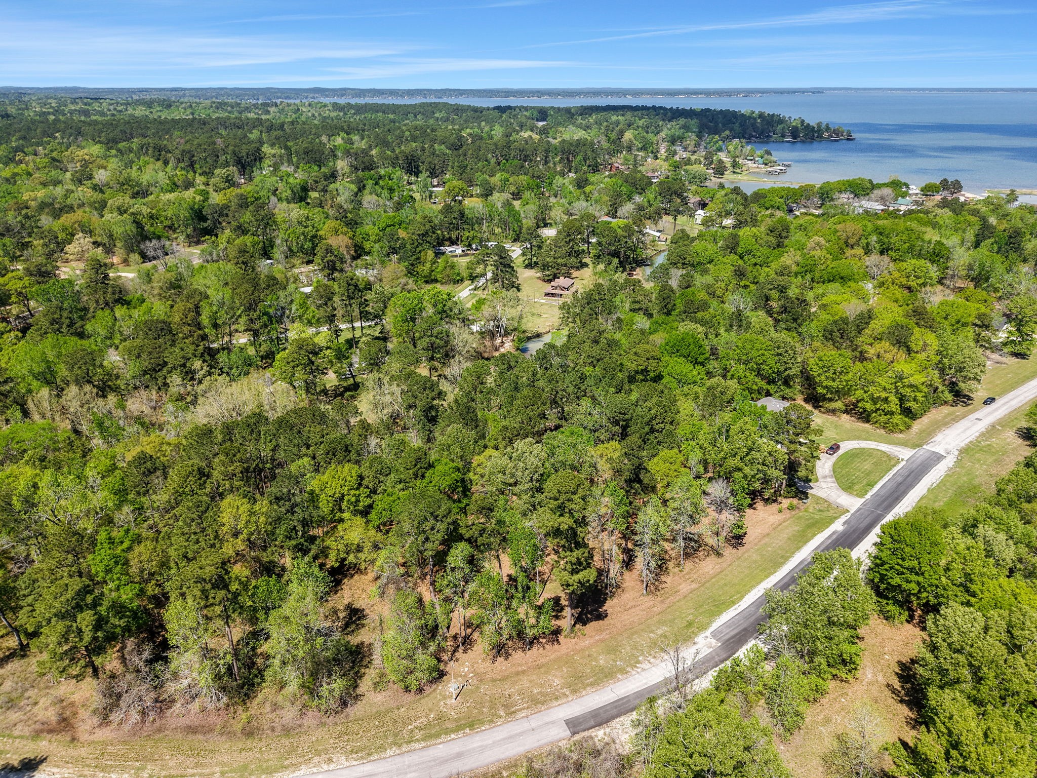0 Harrell Cemetery Road Coldspring, TX 77331 - Photo 9 of 10 a view of a large yard with lots of green space
