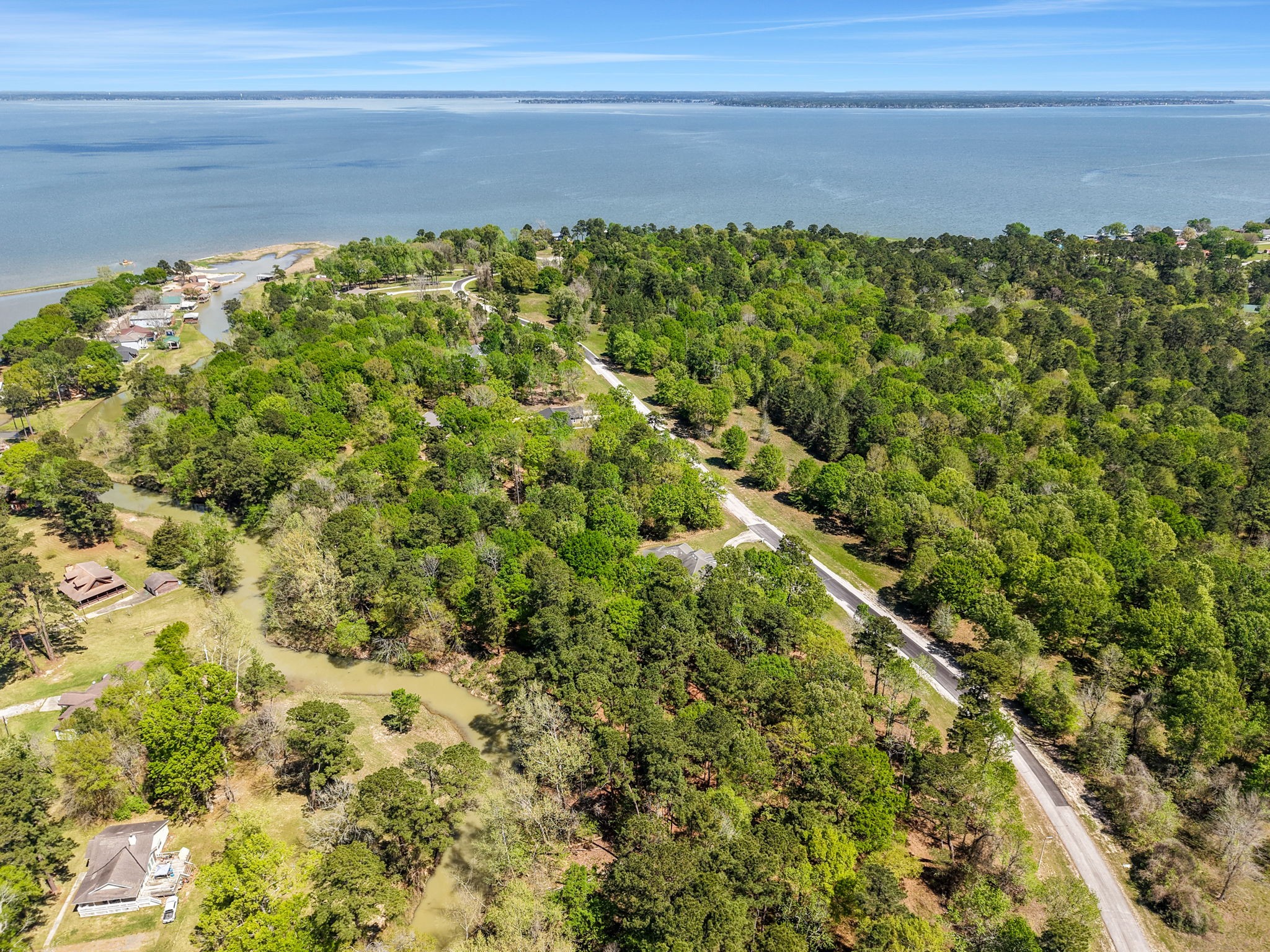 0 Harrell Cemetery Road Coldspring, TX 77331 - Photo 10 of 10 a view of a yard with an outdoor space