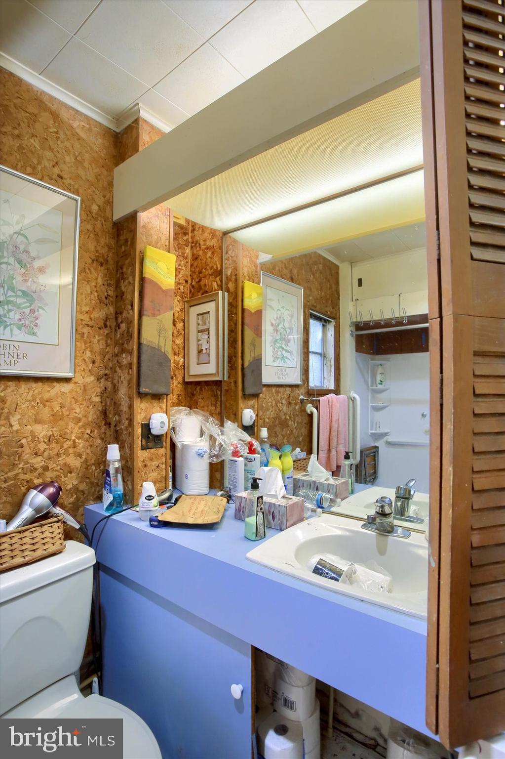 1025 Roberts Valley Road Harrisburg, PA 17110 - Photo 15 of 38 a bathroom with a toilet sink and mirror