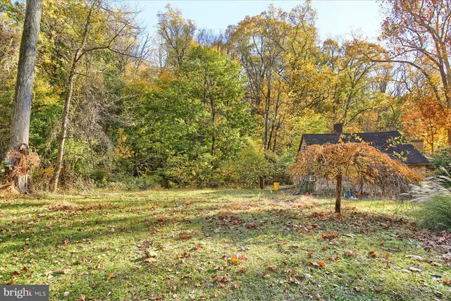 a view of a yard with a tree