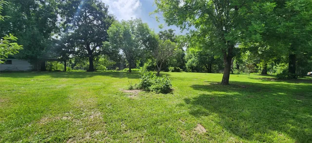 $369,000 | 32332 Highway 49, Avinger, TX 75630