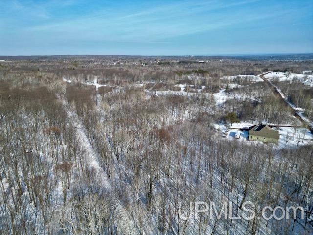 57879 Kallio Road Calumet, MI 49913 - Photo 40 of 45