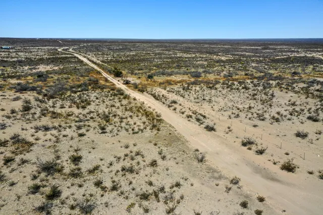a view of a dry yard with wooden fence