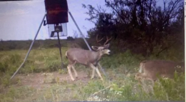 a view of ocean view