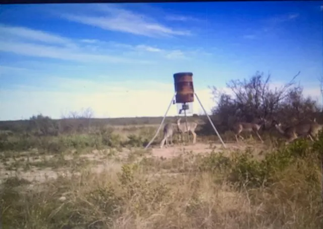 a bathroom with a shower curtain