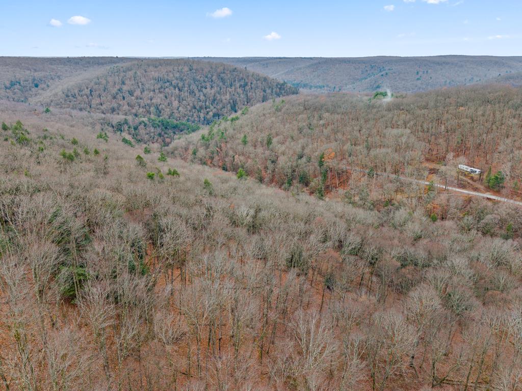 734 Cobham Hill Road Tidioute, PA 16351 - Photo 18 of 18 Gallery Image 18